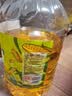 金龙鱼 食用油 非转基因 物理压榨玉米油6.18L（蕴含植物甾醇） 实拍图