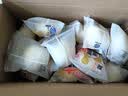 港荣蒸蛋糕淡糖450g小面包蛋糕早餐糕点甜品零食下午茶礼品盒 实拍图