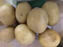 应季新土豆约1kg 实拍图