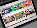Apple/苹果 iPad 11英寸 A16芯片2025年款 平板电脑 (256GB WLAN版学习办公娱乐)粉色 实拍图