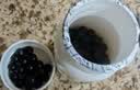 北京同仁堂 五子衍宗丸 60g*6盒装小黑丸子补肾益精肾虚精亏阳痿不育遗精早泄腰痛尿后余沥 补肾 实拍图