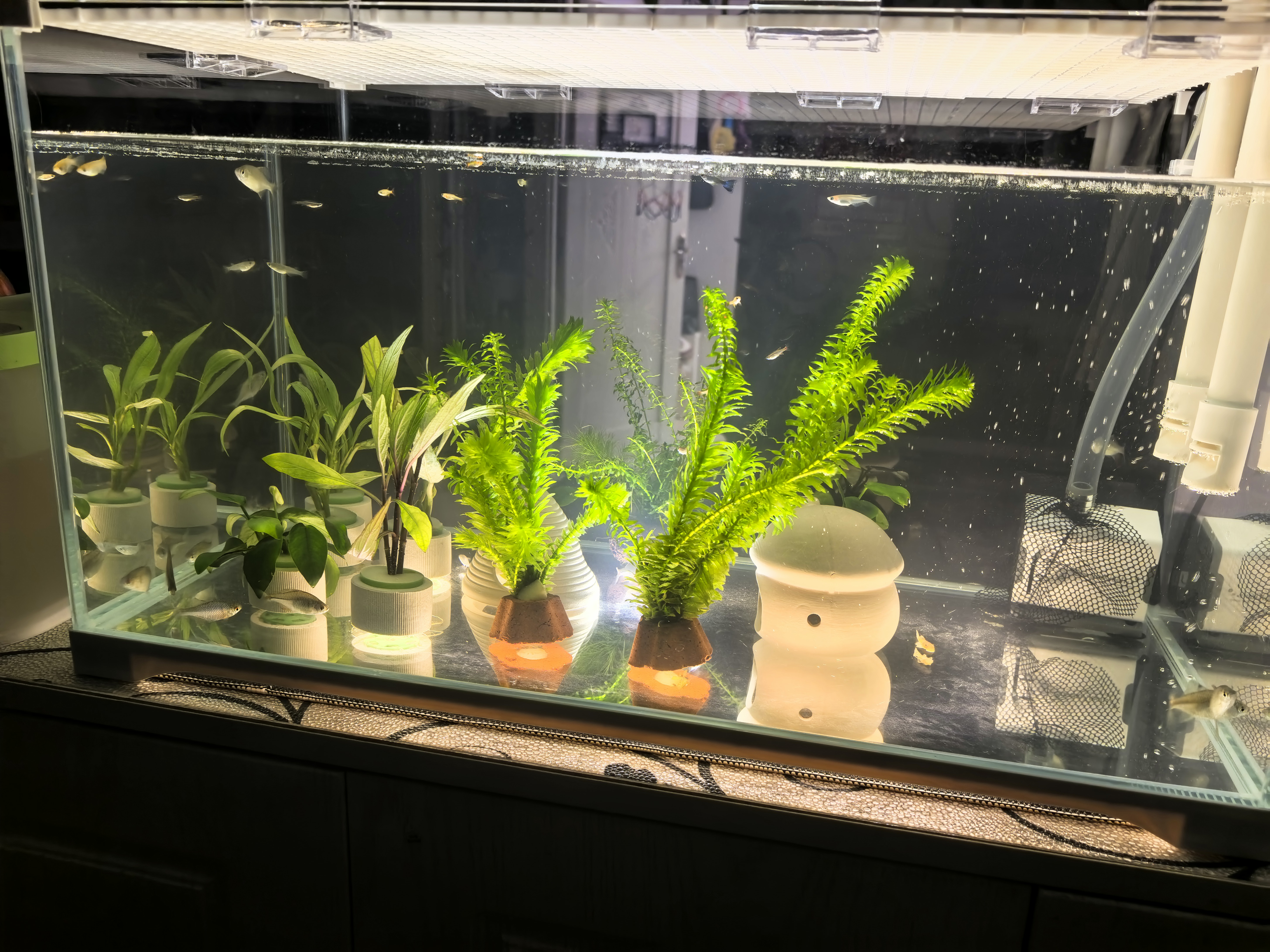 森森 超白玻璃小鱼缸HWK-600P裸缸款水草缸金鱼缸小型水族箱水草缸  实拍图