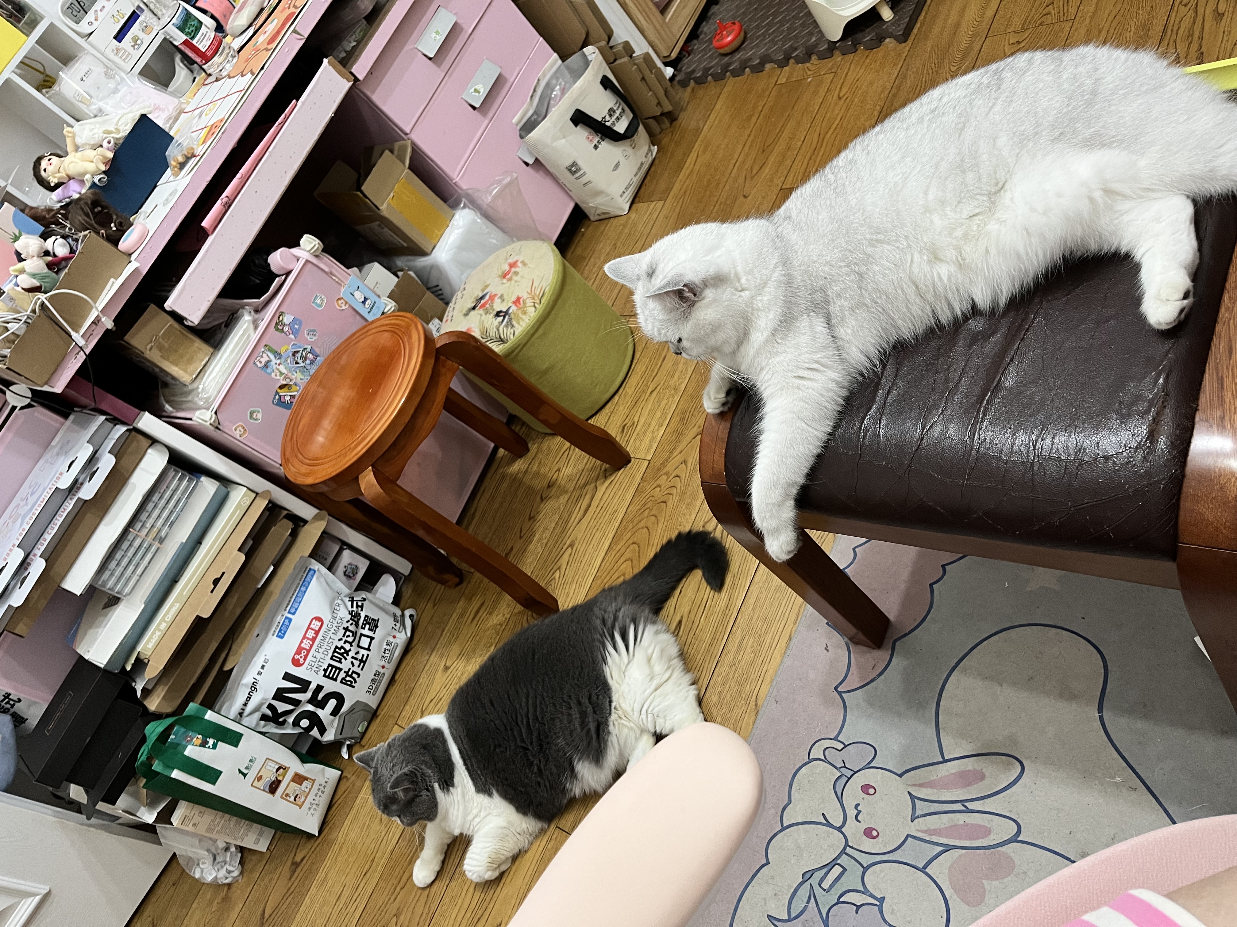 Orijen【宠物金选】渴望猫粮 成猫幼猫粮 原味鸡肉进口1.8kg效期27/10 实拍图
