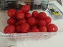 【水果菜】啵啵蜜小番茄1kg(红千禧小番茄） 实拍图