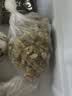楼兰蜜语26年新货薄皮大核桃500g/袋新二核桃 每日坚果 新疆纸皮 休闲零食 实拍图
