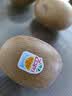 佳沛（zespri）新西兰金奇异果10粒巨大果146-175g猕猴桃水果礼盒 实拍图