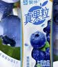 蒙牛真果粒蓝莓味牛奶饮品250g*12盒 新老包装 送礼礼盒 实拍图