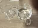 富光花茶杯透明茶杯内胆茶水分离杯办公室玻璃杯子水杯350ml 实拍图
