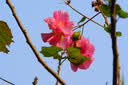 奥林巴斯（OLYMPUS）E-M10 MarkIV微单相机北京上海广东江苏浙江河南重庆广西大连吉林云南西藏85折（14-42&40-150）银 实拍图