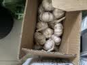 京鲜生河南杞县大蒜 带皮新鲜 干蒜净重3斤单果5.5-6cm 源头直发 实拍图