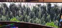 泰坦军团49英寸 第4代QD-OLED 5K曲面240Hz HDR400超宽带鱼屏 0.03ms 原生10Bit KVM 炒股电竞显示器G49E9S 实拍图