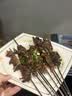 小熊（Bear）电烧烤炉烤串烤肉 电烧烤炉家用 烧烤电烤炉无浓烟全机可拆洗2100W双烤网烤盘DKL-G21P1 实拍图