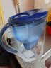 碧然德（BRITA）过滤净水器 家用滤水壶 净水壶 海洋系列 去水垢专家版滤芯11枚 环保加固包装 实拍图