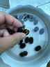 春草碧 菊花花草种子除虫菊庭院阳台盆地栽水培绿植花卉碗莲子荷花种子 K混色莲子套装 实拍图
