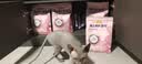 麦富迪猫粮 barf霸弗天然猫粮冻干生骨肉高蛋白成猫粮养胃增肌混合9kg 实拍图