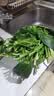 大菠菜300g 实拍图