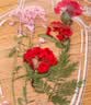 佳茉【热门商品】干花书签标本塑封膜瓶子里的秋天收集童年手工diy材料透明树叶粘贴画玻璃 实拍图