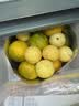 佳沛（zespri）新西兰金奇异果10粒巨大果146-175g猕猴桃水果礼盒 实拍图