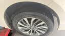 米其林（MICHELIN）汽车轮胎 205/55R16 91W 浩悦五代 Primacy 5 适配朗逸/宝来/英朗 实拍图