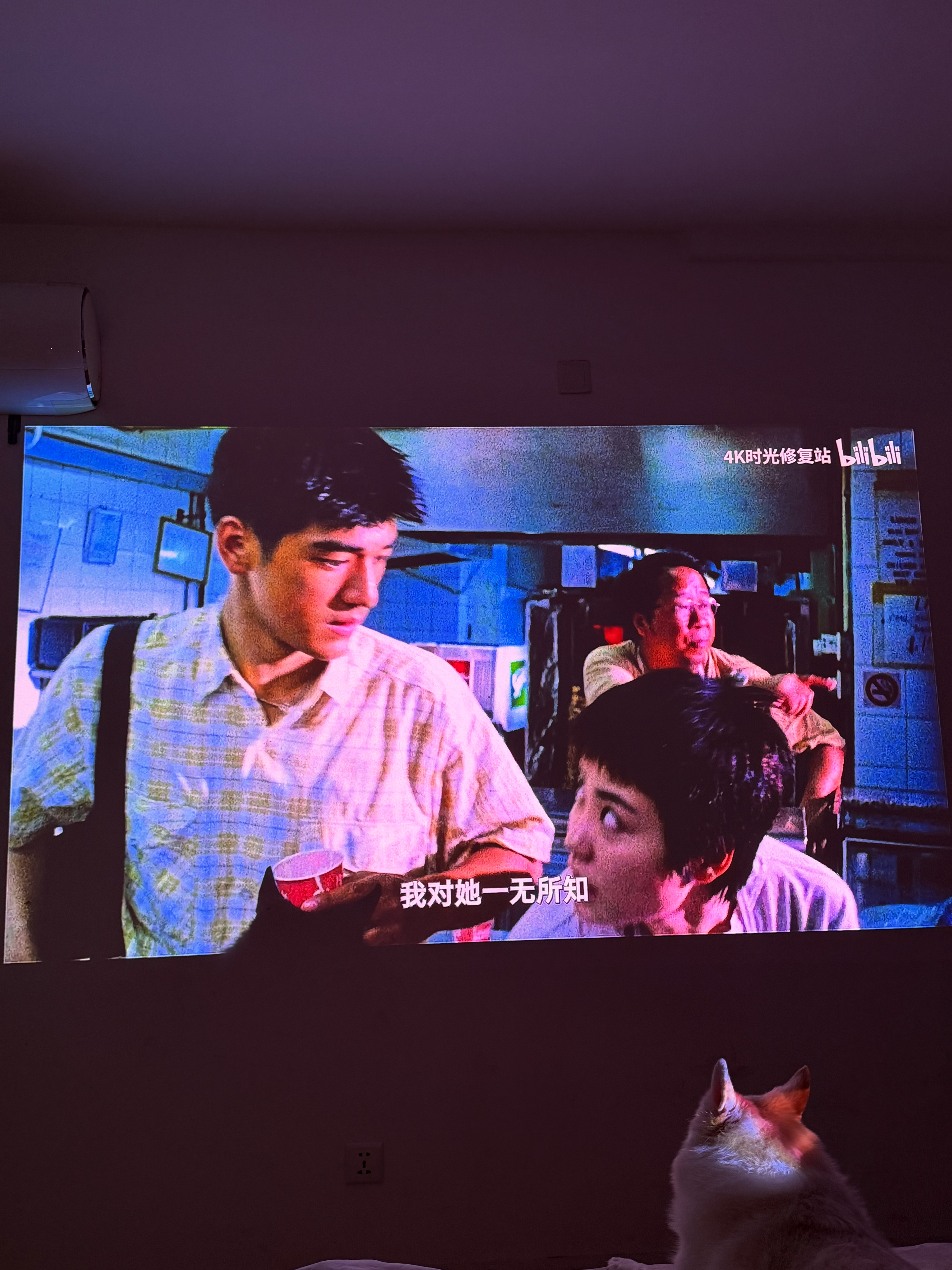 极米（XGIMI）Z9X 4K 旗舰版 焕新升级1650CVIA 4K光学变焦三色激光哈曼卡顿家用智能投影仪 国家补贴 实拍图