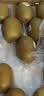 佳沛（zespri）新西兰金奇异果22粒巨大原箱146-175g猕猴桃水果礼盒 实拍图