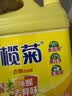 榄菊生姜洗洁精3kg 厨房洗碗洗涤灵A类食品用级别果蔬清洗剂 实拍图