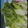 【烧烤季】钟灵山罗马生菜400g 实拍图