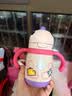 babycare儿童保温杯婴儿宝宝吸管水杯霸王龙不锈钢保温杯300ml-新旧款混发 实拍图