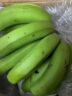 云南大香蕉当季新鲜水果薄皮香蕉自然熟高山香蕉批发 高山甜蕉 10斤【带箱9.5-10斤】 晒单实拍图