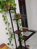 森特玛花架子铁艺多层室内阳台置物实木客厅落地欧式植物盆栽架简约多肉 黑柱+柚木色板（140高） 实拍图