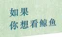 凯迪克金奖大师绘本：如果你想看鲸鱼 精装新版（麦克米伦世纪童书馆） 实拍图