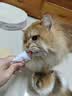 红狗化毛膏猫咪专用排除毛球维生素添加鱼油膳食纤维毛球症温和120g 实拍图