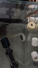 森悠（SARYOR）金苔鼠淡水鱼鱼缸清洁鱼观赏鱼热带鱼好养工具鱼吃垃圾鱼 彩虹鲨4条(4-6cm) 实拍图