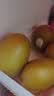 佳沛（zespri）新西兰 金奇异果特大果15粒134-146g猕猴桃水果礼盒 实拍图