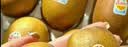 佳沛（zespri）新西兰金奇异果16粒经典果88-103g猕猴桃水果礼盒 实拍图