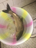 清水鱼竿手竿碳素超轻硬台钓竿休闲野钓综合大物竿钓鱼竿渔具 6H龙渊戟5.4米+配件 实拍图