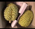 晨臻泰国进口金枕头榴莲鲜果新鲜水果 软糯香甜 精选榴莲2-3斤（包2-3房） 实拍图