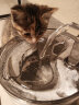 NPET猫咪自动饮水机流动水碗插电宠物饮水器自动循环猫水盆神器喂水 050插电缺水断电便携款/含充电宝 实拍图