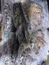 佳帮手真空封口机全自动食品抽真空包装机大吸力食品腊肠肉保鲜食品塑封机 实拍图