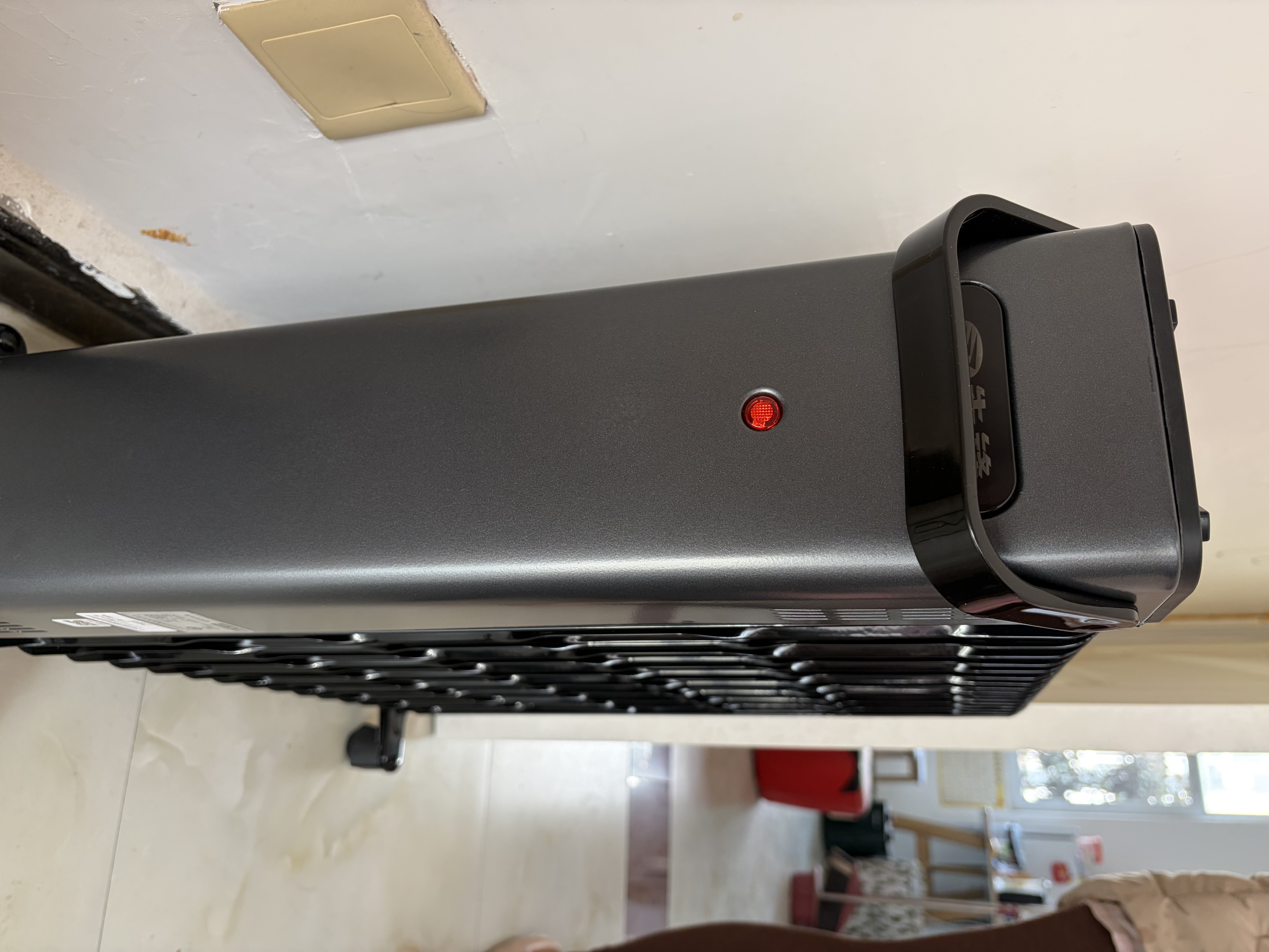 先锋取暖器/取暖器家用/取暖电器/电暖器/暖气/电暖气片石墨烯烤火炉油丁17片热浪油汀电暖炉DYT-SS17 实拍图