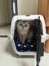 腆宠宠物航空箱小号 猫咪航空箱猫狗 猫包猫笼外出车载猫箱狗狗托运 实拍图