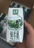 蒙牛特仑苏纯牛奶250ml*6盒 3.6g乳蛋白 尝鲜试用装 送礼盒装 实拍图