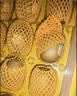 佳沛（zespri）金奇异果25-27粒原箱特大果124-146g猕猴桃水果礼盒 实拍图