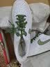 耐克（NIKE） 男鞋板鞋男 26秋季新款运动鞋复古休闲鞋SB透气耐磨帆布鞋子男士 【新品】001-经典黑白/晒图退10 41 （内长260mm） 实拍图