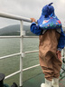 熊火儿童下水裤户外玩水服捉鱼赶海半身涉水裤背带连体鞋防水沙滩 卡其色儿童款 29 实拍图