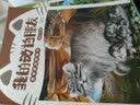 折出奇趣乐园  一套可以做手工、涨知识、玩游戏的超值大礼盒。童书  实拍图