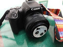 佳能（Canon） EOS 200D二代 200d2代单反相机入门单反vlog迷你单反数码照相机 200DII黑色拆单机+佳能小痰盂人像镜头套装 套餐三【续航双电池~人像柔光镜~RGB补光灯】 实拍图