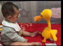 babycare 电动毛绒玩具娃娃玩偶会说话的鸭子鹦鹉复读鸭儿童节礼物兔墩墩 卡布利鸭 33厘米 晒单实拍图