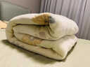 雅鹿新款被子牛奶绒冬被加厚保暖10斤棉被宿舍春秋被芯单双人被褥男 双拼-宝石蓝【恒温蓄热 无静电】 150x200cm-6斤【升级双面加绒】 实拍图
