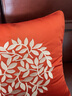 米乐 轻奢刺绣抱枕靠垫布艺沙发靠枕床头办公室护腰靠背汽车腰枕 橘红(圆圈花刺绣) 45cm*45cm 含枕芯 实拍图